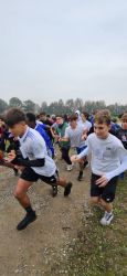 Corsa Campestre 2024 (6)